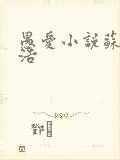 愚爱小说苏倩孙浩