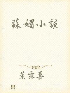 苏媚小说