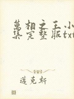 万相之王小说全集完整版txt
