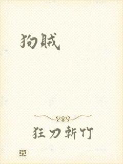 狗贼封面