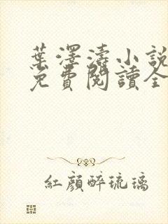 叶泽涛小说全文免费阅读全文