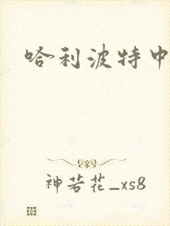 哈利波特中文版