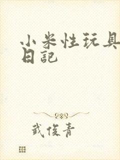 小米性玩具羞辱日记