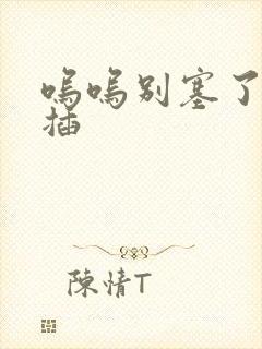 呜呜别塞了啊抽插封面