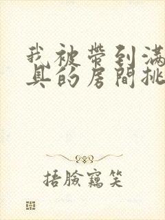 我被带到满是玩具的房间挑调作文