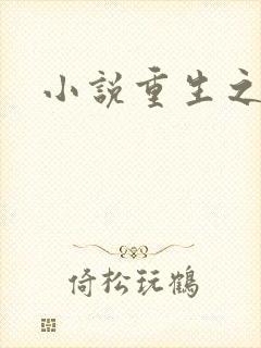 小说重生之官道