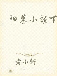 神墓小说下载