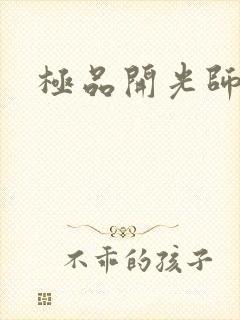 极品开光师