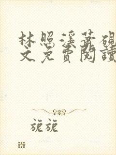 林照溪萧砚川全文免费阅读