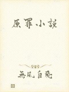 原罪小说