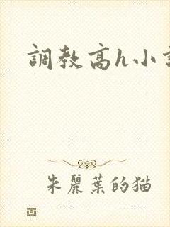 调教高h小说