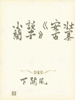 小说《安壮壮,兰子》古寨小说下载