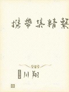 携带集精系统封面