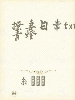 撩妻日常txt青灯