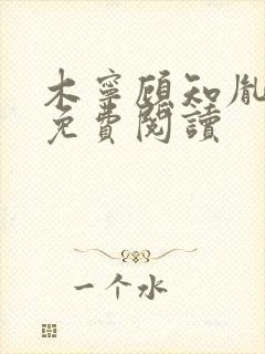 木宁顾知胤小说免费阅读