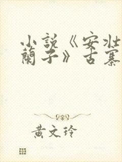 小说《安壮壮,兰子》古寨小说下载封面