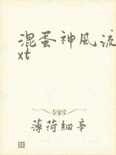 混蛋神风流史txt封面