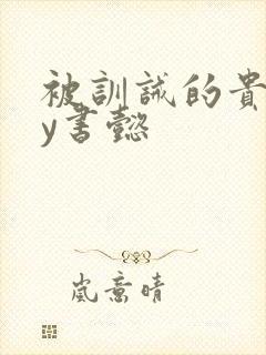 被训诫的贵妃by书懿