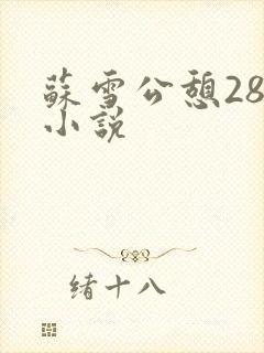 苏雪公憩28篇小说