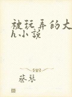 被玩弄的大小姐h小说封面