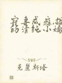 宠妻成瘾,总裁的清纯小娇妻