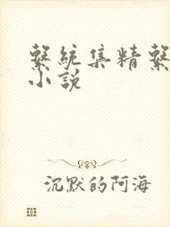 系统集精系统 小说