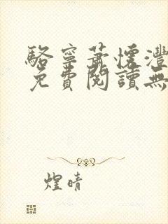 骆宁萧怀沣小说免费阅读无弹窗封面