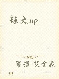 辣文np封面