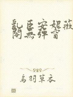 乱臣安妮薇笔趣阁无弹窗封面