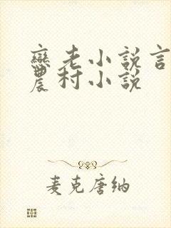 恋老小说言情网农村小说封面