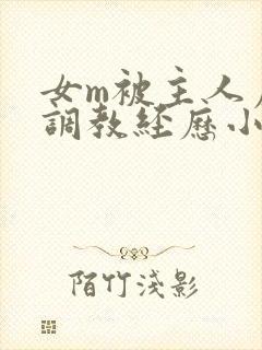 女m被主人虐玩调教经历小说