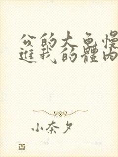 公的大龟慢慢挺进我的体内