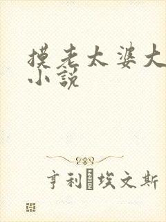 摸老太婆大乳房小说