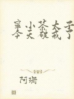 宁小茶太子殿下今天破戒了吗免费阅读