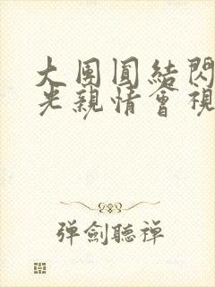 大团圆结闪闪发光亲情会视频