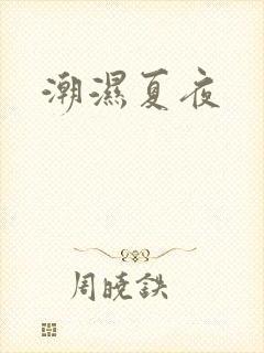 潮湿夏夜封面