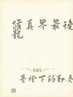 修真界最后一条龙