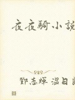 夜夜骑小说