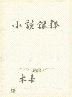 小说银狐封面