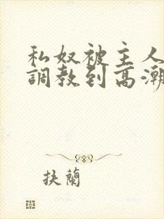 私奴被主人玩弄调教到高潮小说