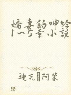 娇妻的呻吟张妍1～5章小说