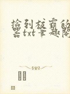 捡到校霸的遥控器txt笔趣阁封面