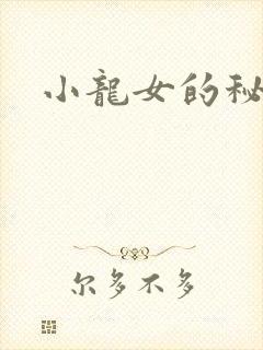 小龙女的秘密封面