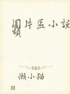 图片区小说区视频