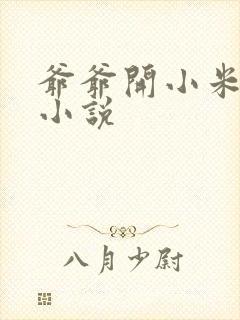 爷爷开小米的包小说封面