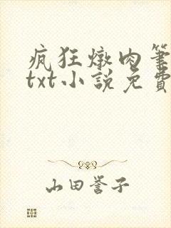 疯狂炖肉笔趣阁txt小说免费阅