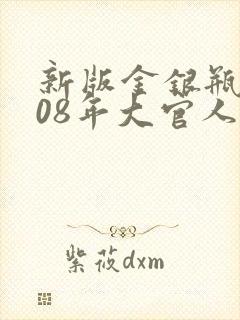 新版金银瓶2008年大官人