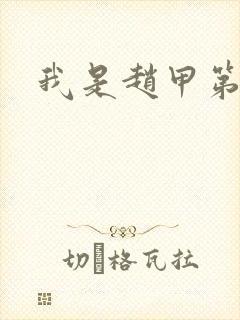 我是赵甲第小说