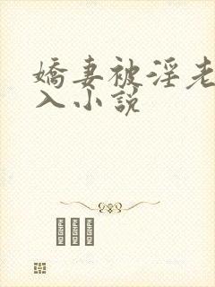 娇妻被淫老头进入小说
