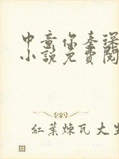 中意你秦琛苏沫小说免费阅读封面